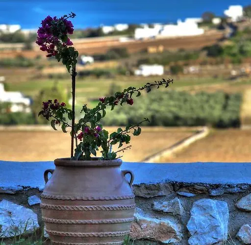 Gospodarstwo wiejskie Aegean Queen - Onar Collection *